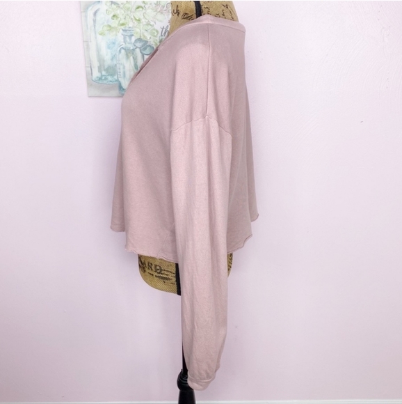 Alya Francesca’s Sheer Swiss Dot Inset Cropped Sweatshirt Blush Taupe Medium - Picture 3 of 8